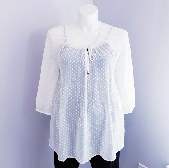 NWT Rachel Zoe Maternity Sheer Swiss Dot Blouse Top Shirt - Picture 1 of 11